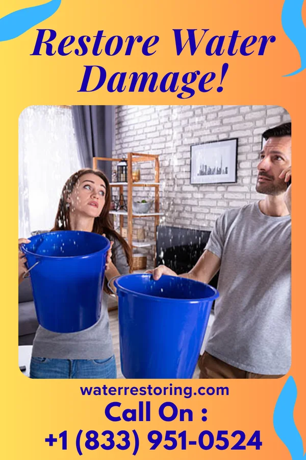 water restoration Solid Recovery Services Arcadia