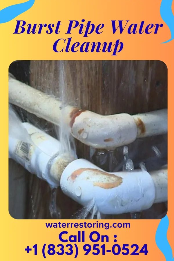Burst Pipe Water Cleanup in Arcadia, IN