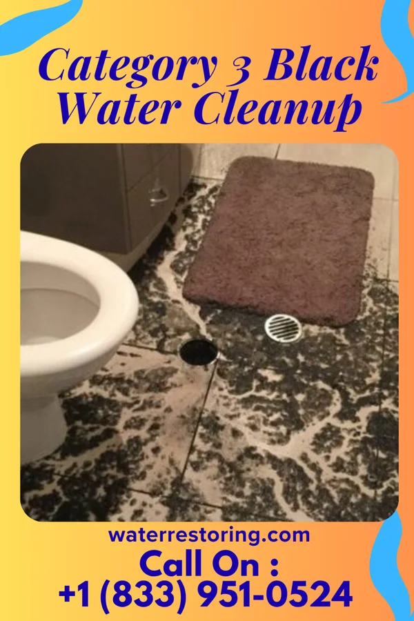Category 3 Black Water Cleanup in Arcadia, IN