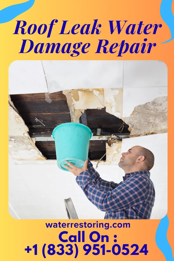 Roof Leak Water Damage Repair in Arcadia, IN