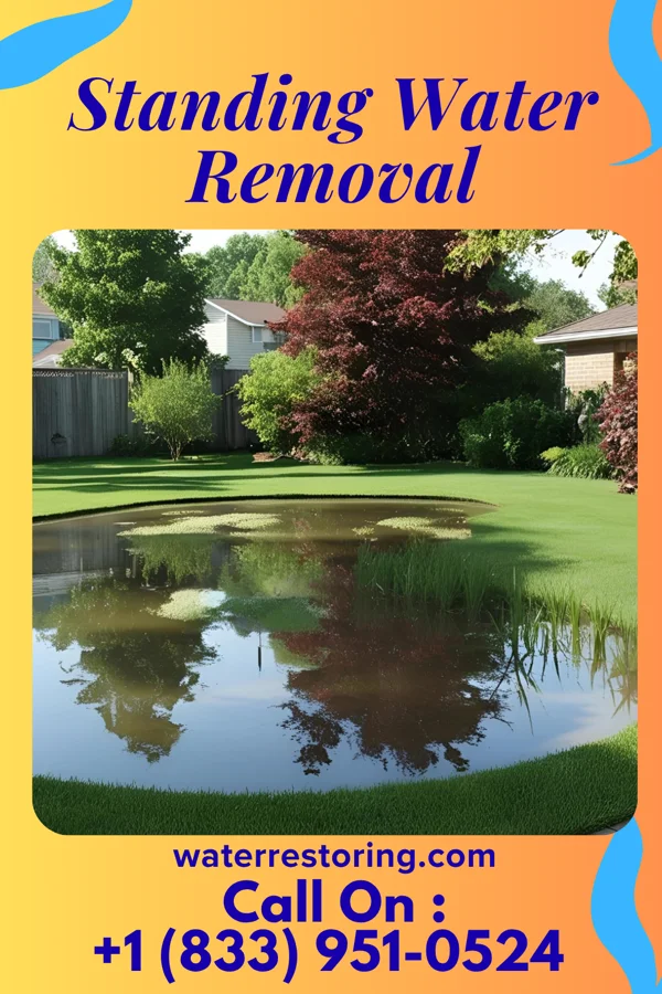 Standing Water Removal in Arcadia, IN